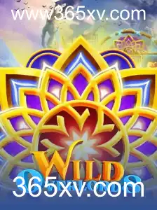 Explorando WildOverlords: O Novo Fenômeno dos Jogos Online